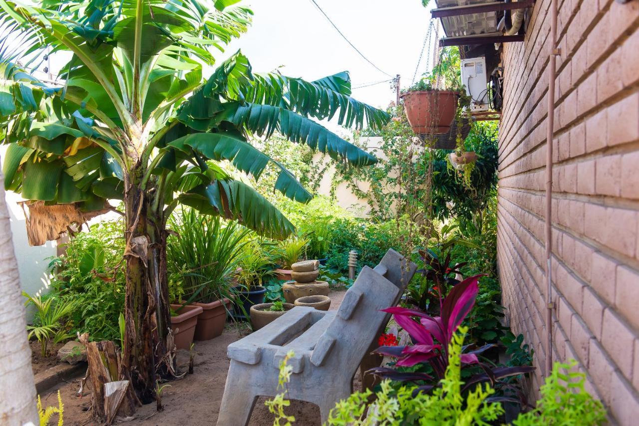 Casa Da Noleen マトラ エクステリア 写真